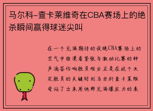 马尔科-查卡莱维奇在CBA赛场上的绝杀瞬间赢得球迷尖叫