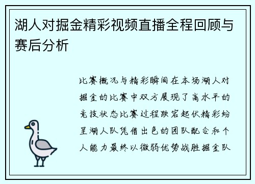 湖人对掘金精彩视频直播全程回顾与赛后分析